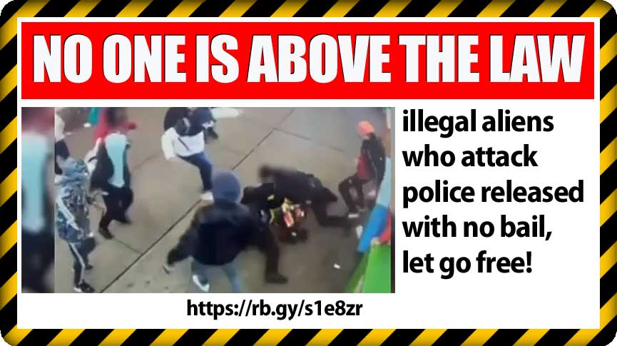 Aliens_kicking_police