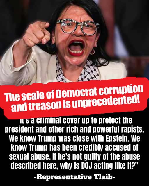Dem_corrupt_Tlaib