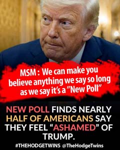 MSM_polls