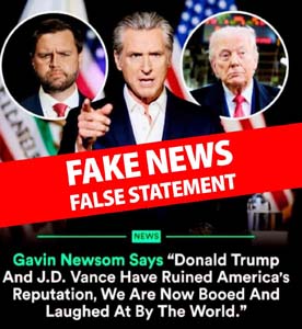 gavin_fake_news