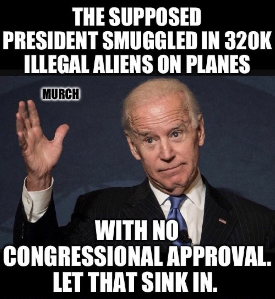 smuggled_on_DOD_planes