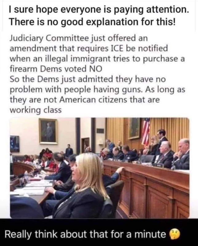 Dems_favor_guns_in_law