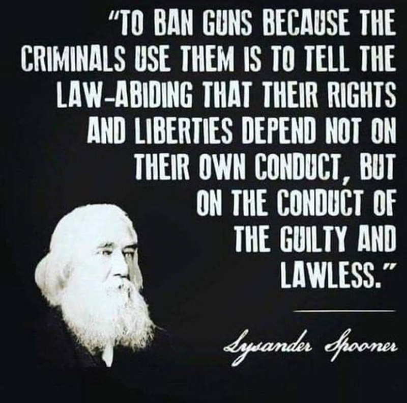 banning-guns