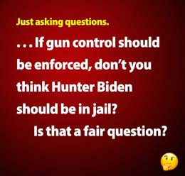 Hunter_Biden_felony